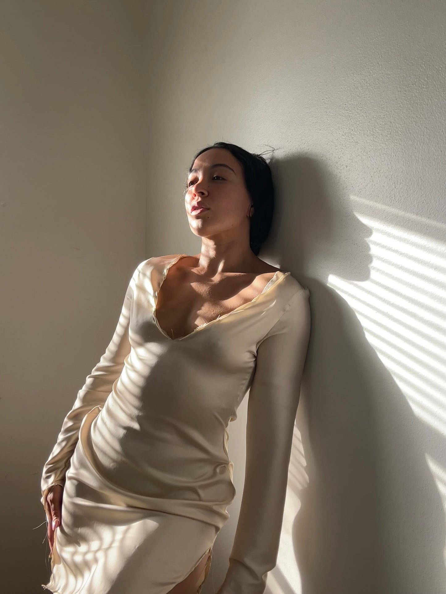 Shibui, our long sleeve silk dress in beige